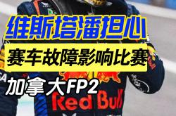 开云体育入口-关于迈凯伦逆转红牛二队，维斯塔潘关键制胜的信息