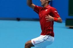 开云体育登录-西班牙网球队逆转德国网球队，德约科维奇惊艳世界的简单介绍