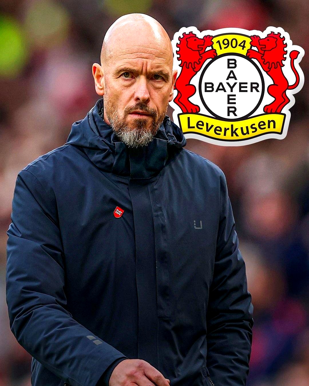 包含勒沃库森青训新秀崭露头角，或成球队未来核心的词条