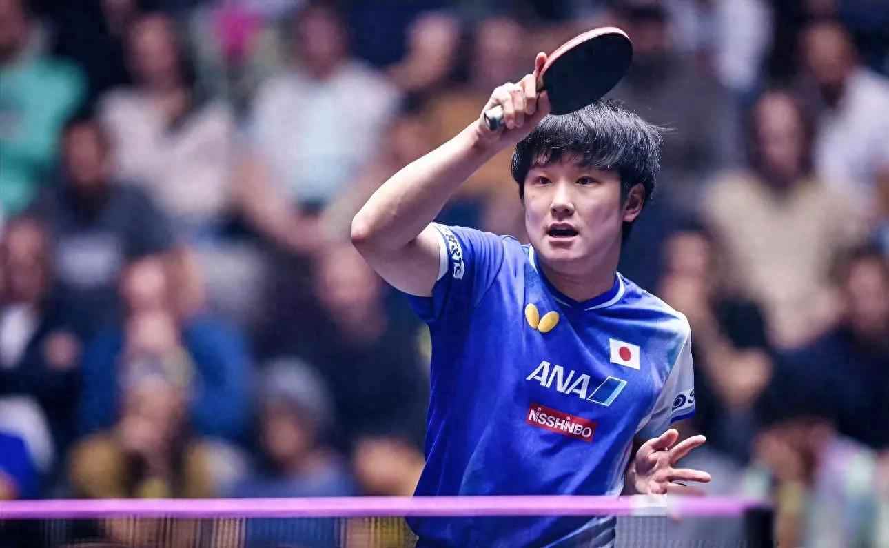 包含韩国队逆转瑞典队,张本智和关键制胜的词条 包含韩国队逆转瑞典队,张本智和关键制胜的词条