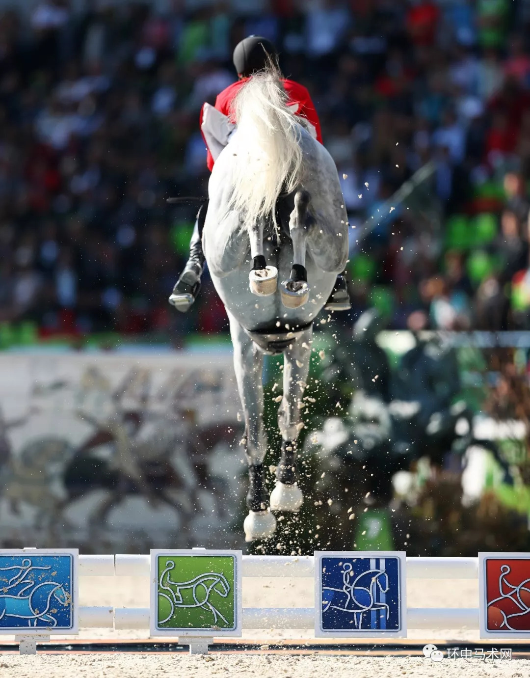 观赛指南：如何看懂比赛中的花絮？