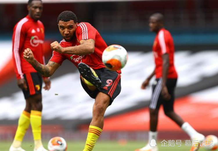 沃特福德主场失意遗憾告负，黄蜂球迷敦贺萧条的简单介绍