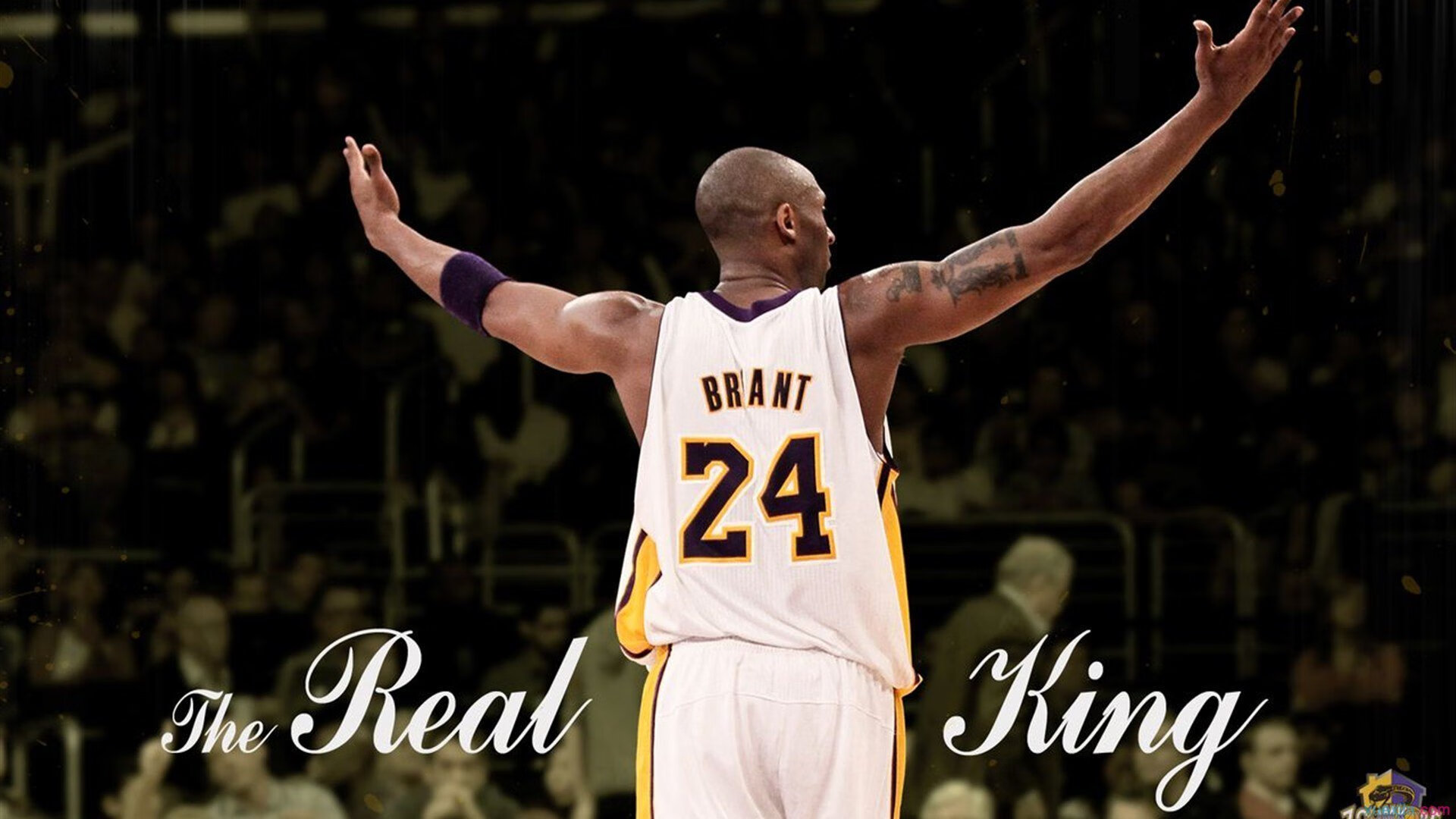 哈利伯顿的魔法秀,上海防线在掘金式体系下的彻底崩解